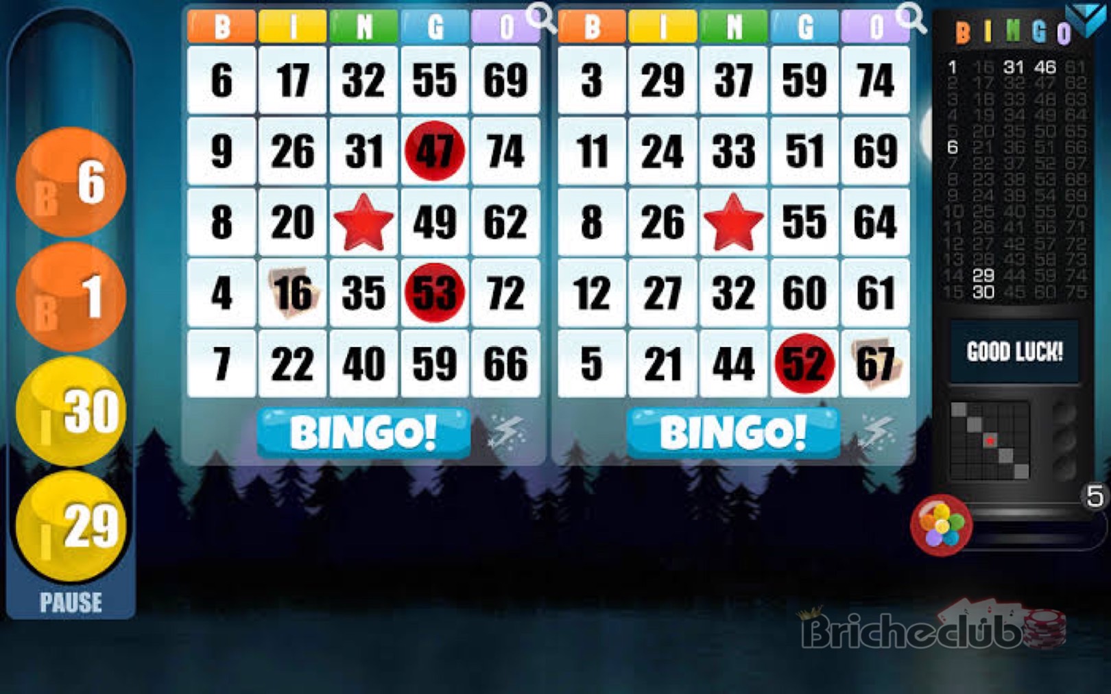 สนุกไปกับ Playing Online Bingo